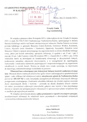 obrazek sgs�enia lasów ze strony szkodnika wtórnego sosny wiecej