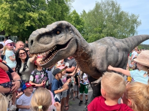 obrazek uwcoqemajówka na Małej Plaży  wiecej