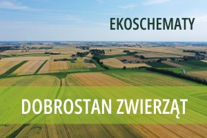 obrazek e{ossmemat „Dobrostan zwierząt” Dodatkowe pieniądze dla hodowców bydła z QMP – tylko do 16 czerwca! wiecej